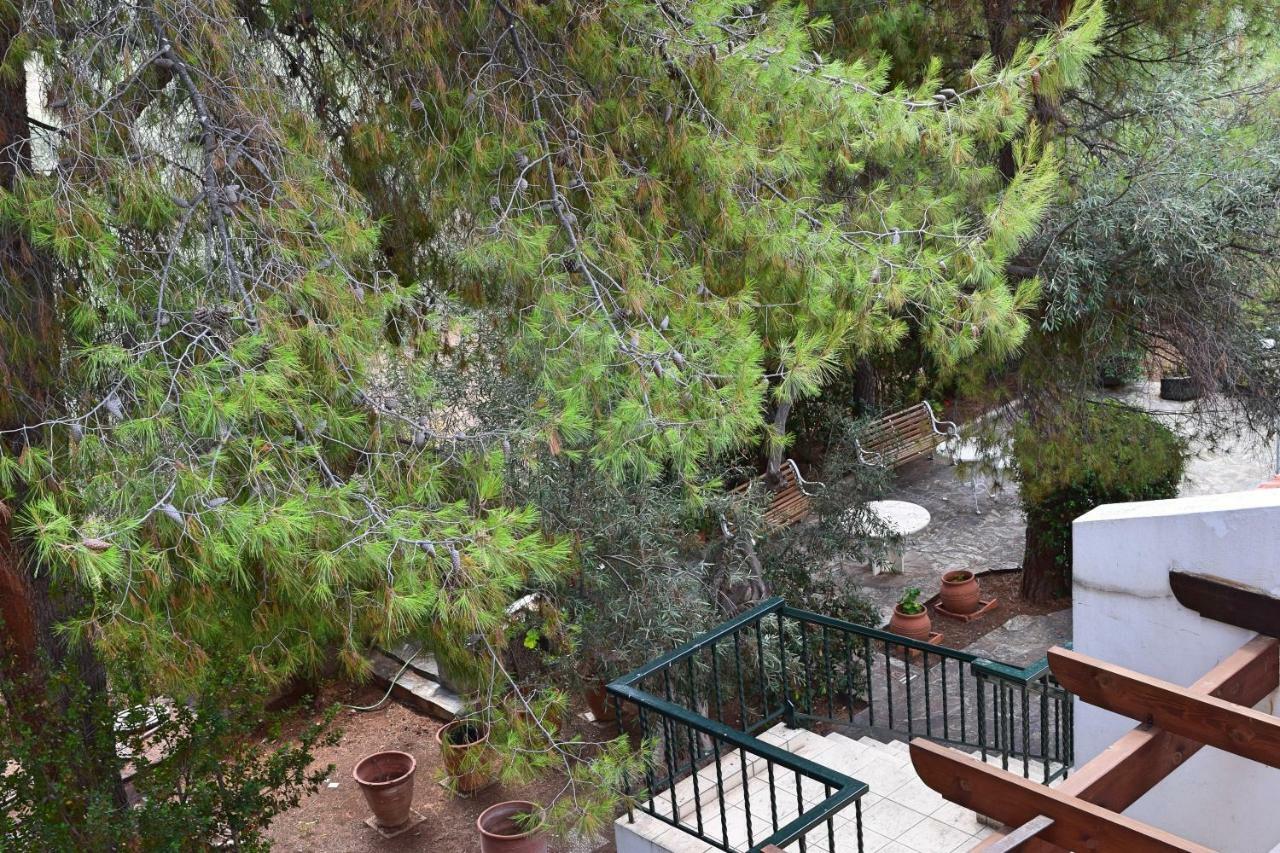 Seaside Villa In Alikes, Chalkida Dhrosiá Exteriér fotografie