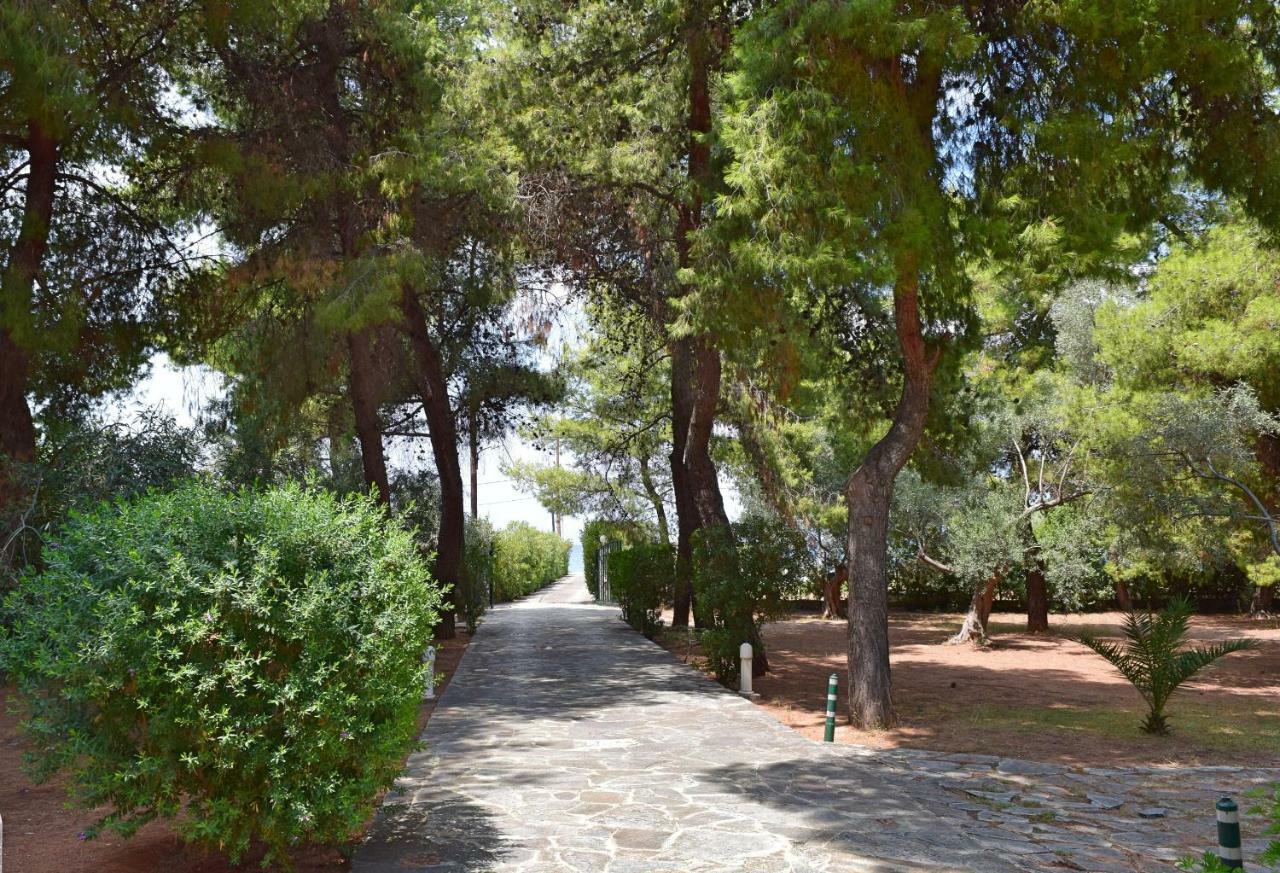Seaside Villa In Alikes, Chalkida Dhrosiá Exteriér fotografie