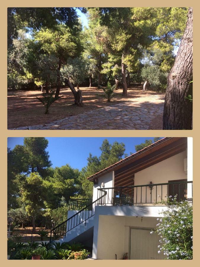 Seaside Villa In Alikes, Chalkida Dhrosiá Exteriér fotografie