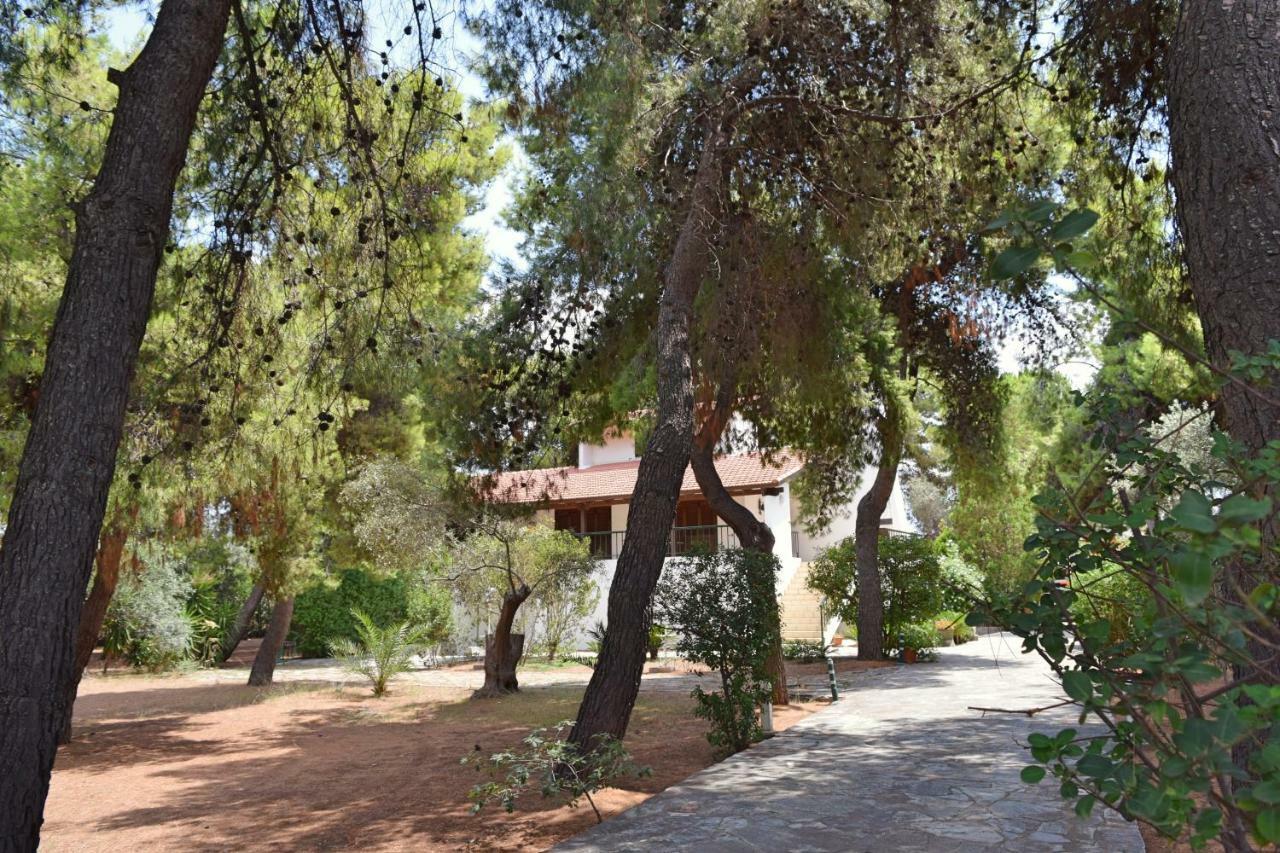 Seaside Villa In Alikes, Chalkida Dhrosiá Exteriér fotografie