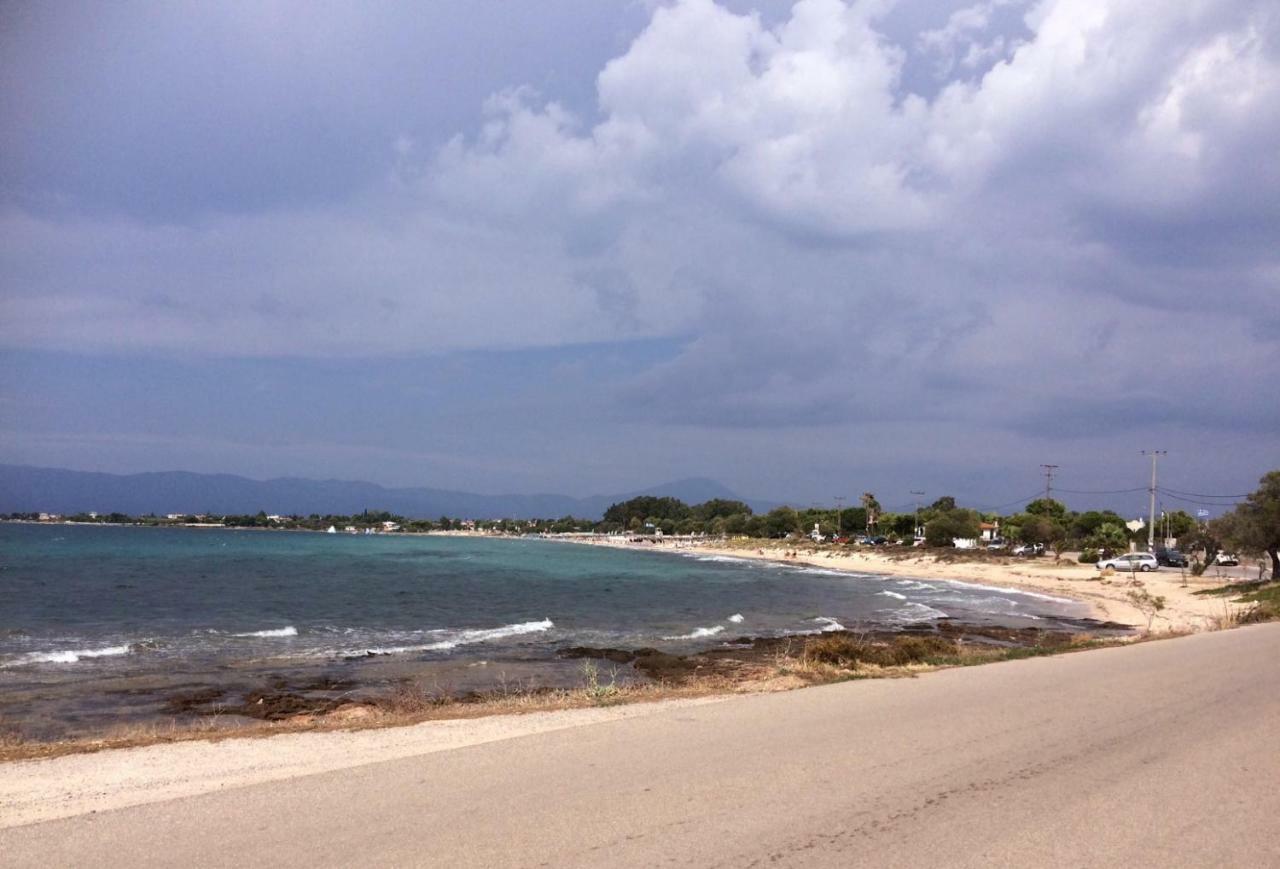 Seaside Villa In Alikes, Chalkida Dhrosiá Exteriér fotografie