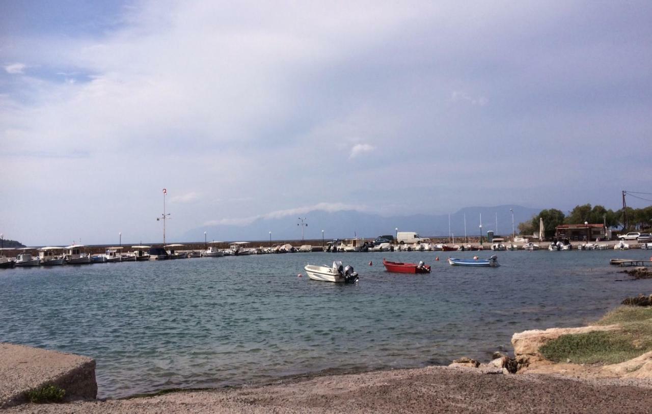 Seaside Villa In Alikes, Chalkida Dhrosiá Exteriér fotografie