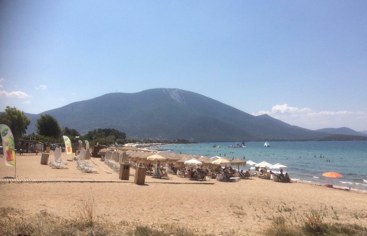 Seaside Villa In Alikes, Chalkida Dhrosiá Exteriér fotografie
