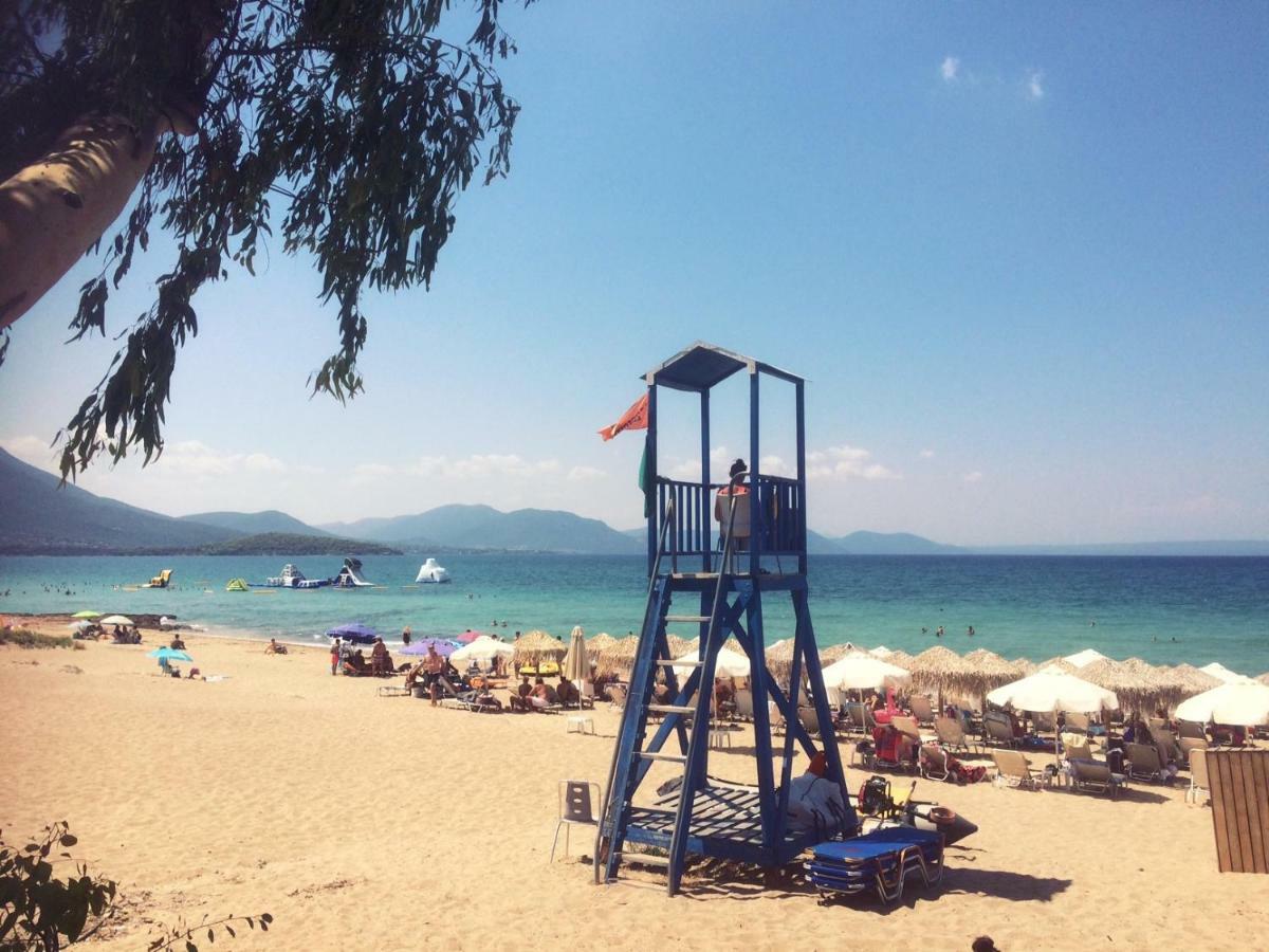 Seaside Villa In Alikes, Chalkida Dhrosiá Exteriér fotografie