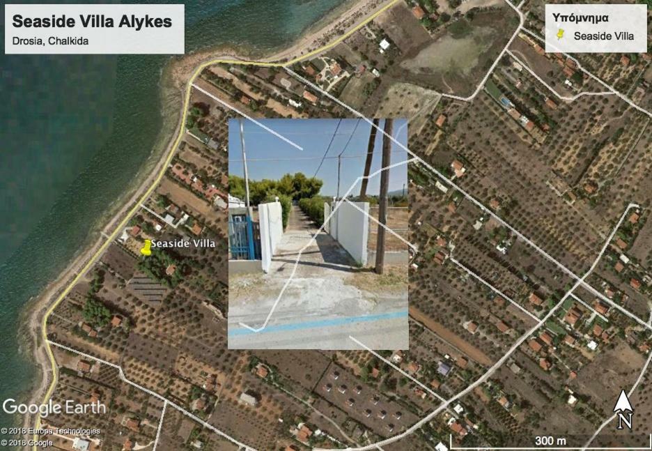 Seaside Villa In Alikes, Chalkida Dhrosiá Exteriér fotografie